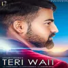 About Teri Wait Song