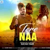 About Tere Naa Song