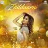 About Zaildaarni Song