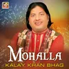 About Mohalla Song