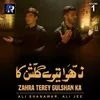 About Zahra Terey Gulshan Ka Song