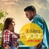 Tera Mera Pyar