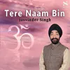 About Tere Naam Bin Song