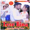 Tere Bina