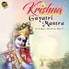 About Krishna Gayatri Mantra Song