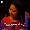 Dupakhi Meli