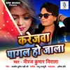 About Karejwa Pagal Ho Jala Song