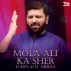 About Mola Ali Ka Sher Song