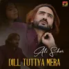 About Dill Tuttya Mera Song