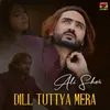 Dill Tuttya Mera