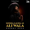 About Sohna Lagda Ae Ali Wala Song