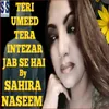 About Teri Umeed Tera Intezar Jab Se Hai Song