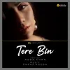 About Tere Bin Song