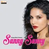 About Sunny Sunny Song