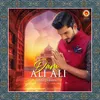 About Dam Ali Ali Song