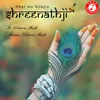 About Ghat Ma Birajta Shreenathji Song