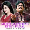 About Mithe Manthar Kitey Pagal Song