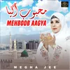 About Mehboob Aagya Song