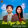 About Teno Piyar Koi Nai Song