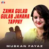 About Zama Gulab Gulab Janana Tappay Song