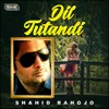 About Dil Tutandi Song