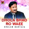 About Dhola Bhao Ro Waee Song