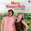 About Marre Wanjain Dhola Song