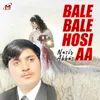About Bale Bale Hosi Aa Song