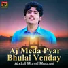 About Aj Meda Pyar Bhulai Venday Song