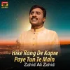 About Hike Rang De Kapre Paye Tun Te Main Song