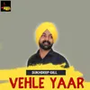 About Vehle Yaar Song