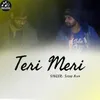 Teri Meri