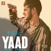 About Teri Yaad Song