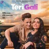 About Teri Gali Song