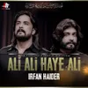 About Ali Ali Haye Ali Song