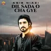 Dil Sada O Cha Gye