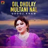 About Dil Dholay Multani Nal Song