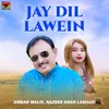 Jay Dil Lawein