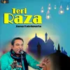 About Teri Raza Song