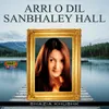 Arri O Dil Sanbhaley Hall