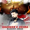 About Ghareeb E Zehra Song