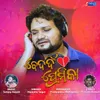 About Bedardi Premika Song