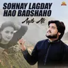 About Sohnay Lagday Hao Badshaho Song