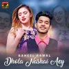 About Dhola Nashai Aey Song