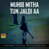 Muhib Mitha Tun Jaldi Aa