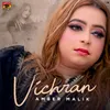 About Vichran Song