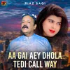 About Aa Gai Aey Dhola Tedi Call Way Song