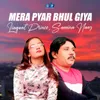 About Mera Pyar Bhul Giya Song