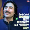 About Noora Mey Meeney Na Tobey Dey Song