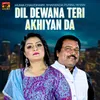 About Dil Dewana Teri Akhiyan Da Song